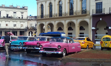20190419_105807.jpg
