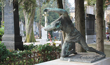 IMG_5125.JPG