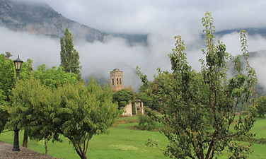 IMG_5259.JPG