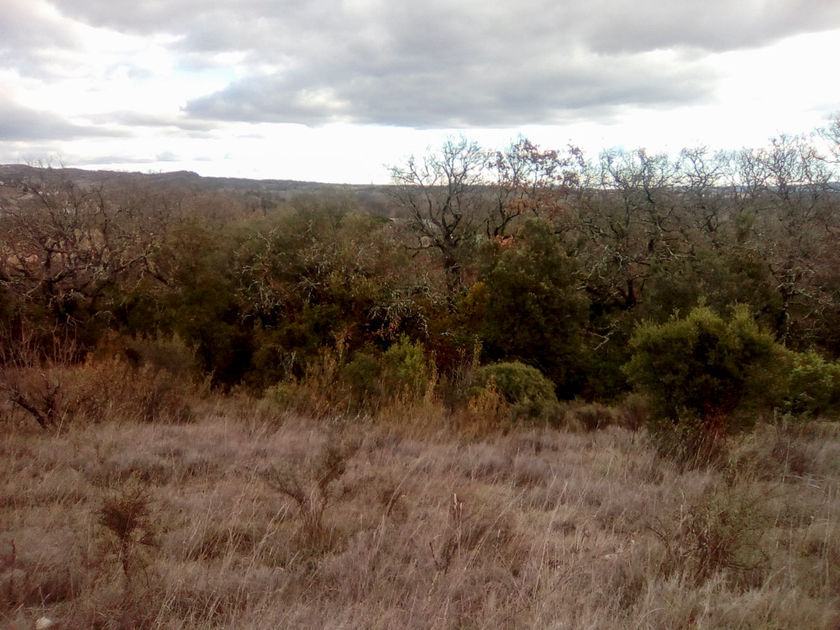 Archers du Dugas - entretien du terrain (2 sur 35).jpg