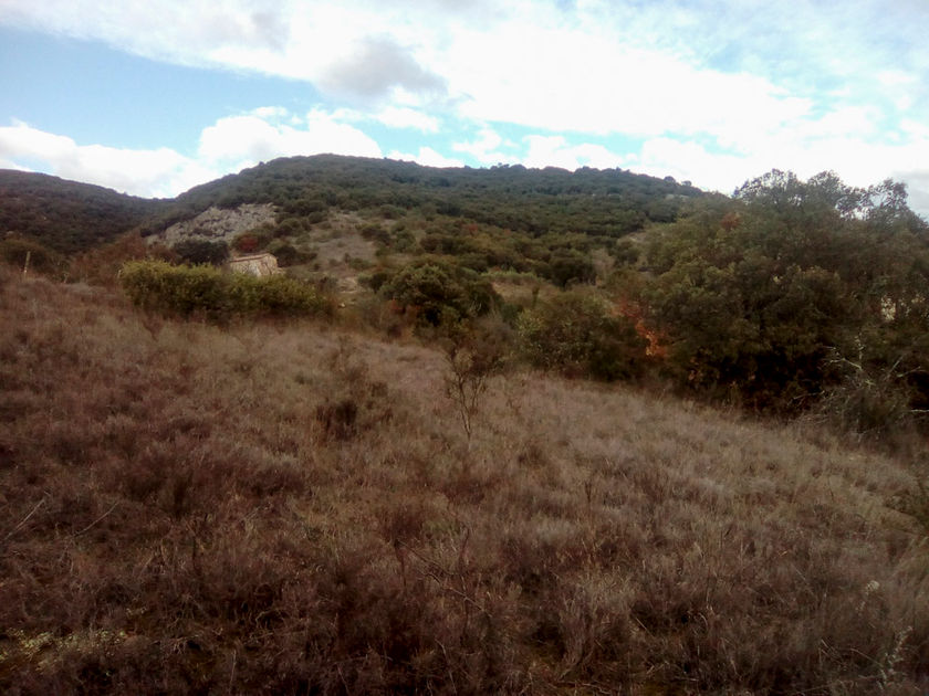 Archers du Dugas - entretien du terrain (1 sur 35).jpg