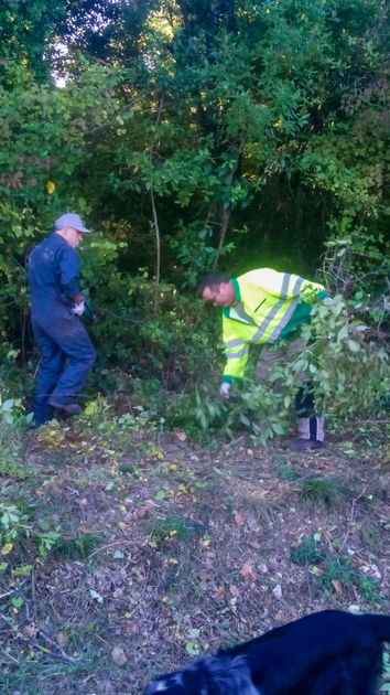 Archers du Dugas - entretien du terrain (24 sur 35).jpg