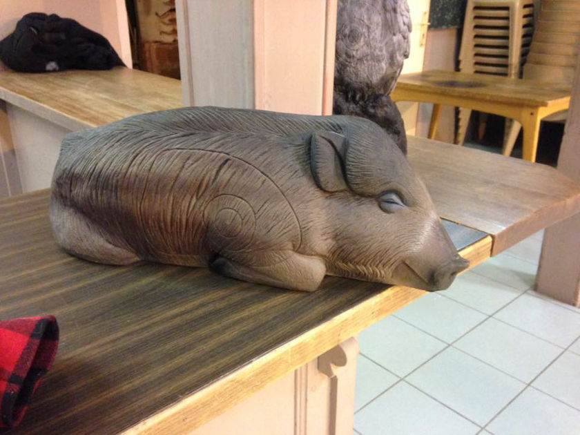 archers du dugas - Photos funs et trentes (23 sur 35).jpg