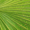 IMG_4741.jpeg