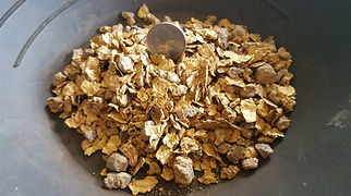 High Bar gold (2).jpg