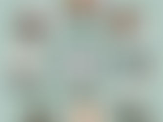 Estado de Derecho y Rule of Law: cuando respetar la ley solo conviene