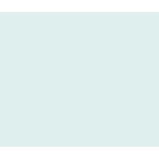 mint.jpg