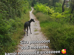 Angleščina in dvomi vase