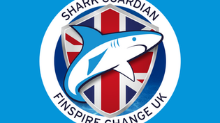 It’s Time to Finspire Change