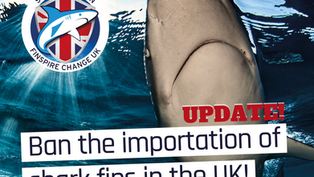 Finspire Change UK update: what’s happened since the Call for Evidence?