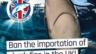 Finspire Change UK update: what's happened since the 100,000 signature milestone?