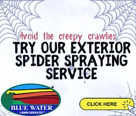 Blue Water Spider Spray Gif (300 × 250 px) (2)_edited.jpg