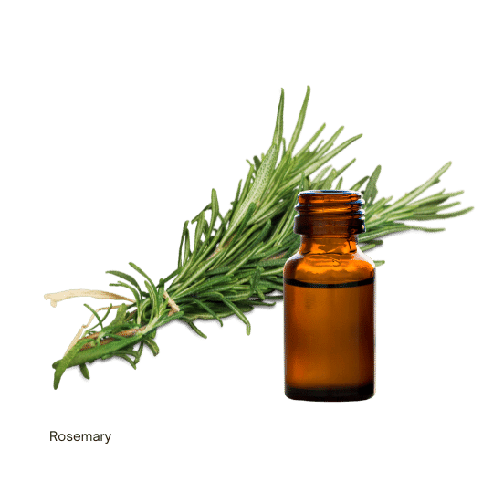 Thumbnail: ESSENTIAL OILS  | ICEA certified organic | women's empowerment