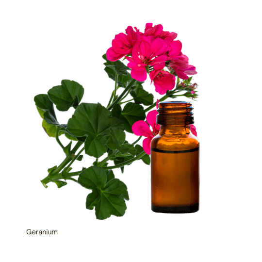 Thumbnail: ESSENTIAL OILS  | ICEA certified organic | women's empowerment