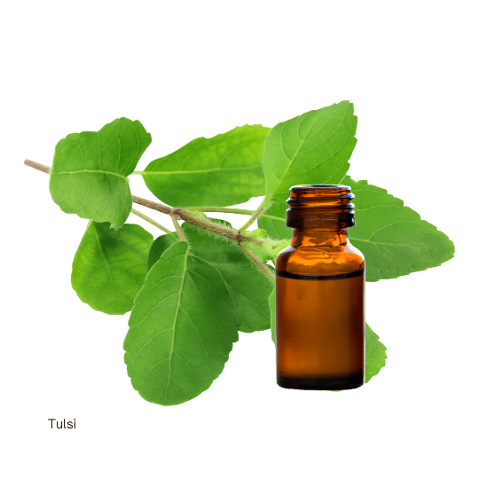 Thumbnail: ESSENTIAL OILS  | ICEA certified organic | women's empowerment