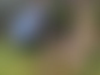 כשעברתי את החווית סף מוות ברעידת אדמה,