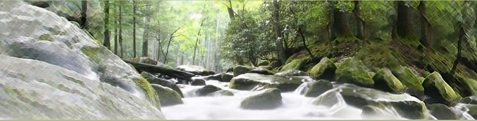 The Meherrin River in Brunswick County, VA
