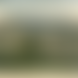 COMPLICATED STATESMAN, HENRY WHITE BALDWIN