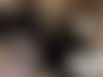 保護猫ブログ ダヴィンチ編~Vol.5~