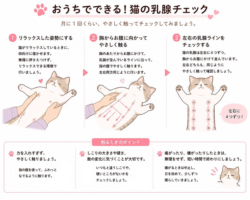 おうちでできる!乳腺チェック