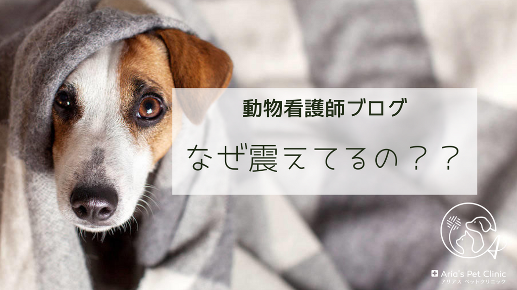 なぜ震えてるの