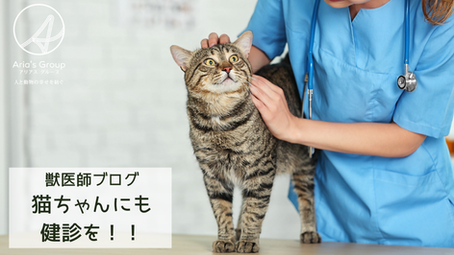 猫ちゃんにも健診を!