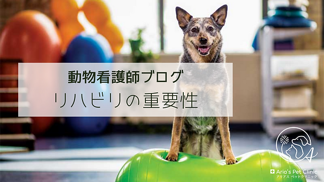 リハビリの重要性