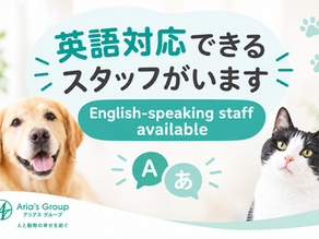 英語対応できるスタッフがいますEnglish-speaking staff available