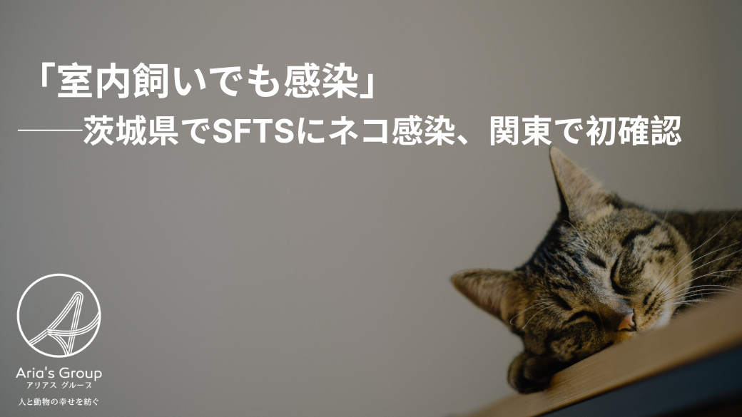 wotaku on X: 