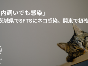 🐾「室内飼いでも感染」──茨城県でSFTSにネコ感染、関東で初確認