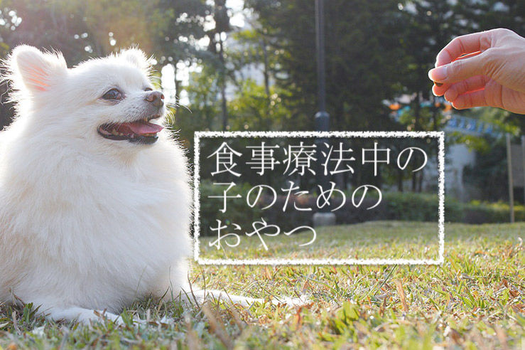 必見 食事療法中の子のためのおやつをご存知ですか