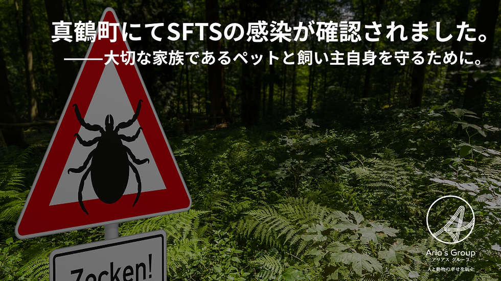 真鶴町において、SFTSの発生が確認されました。
