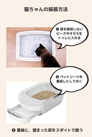 おしっこをチェックしよう