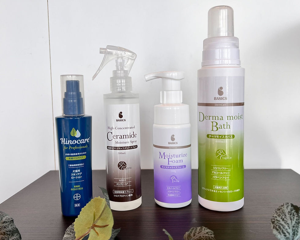 COTI CARE 5 トリートメント&シャンプーセット COTI CARE 5 トリートメント&シャンプーセット