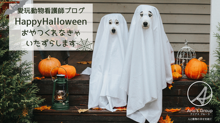 Happy Halloween🎃🦇🕸️