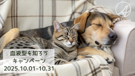 血液型を知ろうキャンペーン