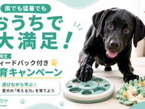『雨でも猛暑でもおうちで大満足!7月限定「フィードバック付き🐾知育キャンペーン』