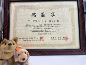 日本レスキュー協会からアリアスペットクリニックへ贈られた2026年10月28日付の感謝状と犬のぬいぐるみ