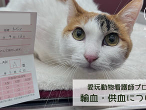 輸血・供血について