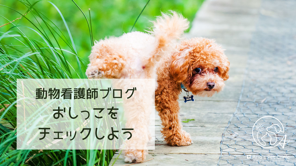 おしっこをチェックしよう