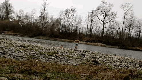 bei der alten Aare in Winznau, freie Bewegungen und Schreie um mich selbst zu erfahren