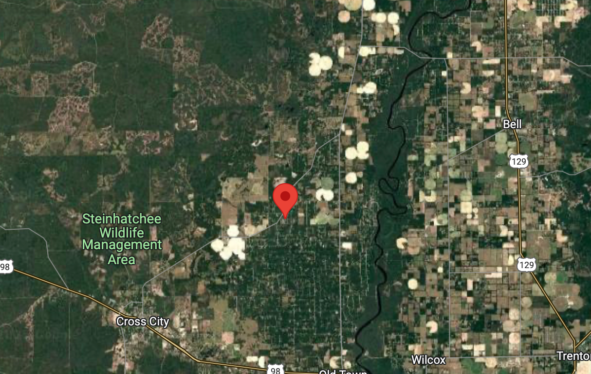 DIXIE COUNTY, FL/ PARCEL ID: 16-09-13-4110-001-30170