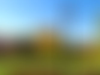 Roses, Thorns and the Gazebos In-between – A Look at Belmont’s Landscaping Crew