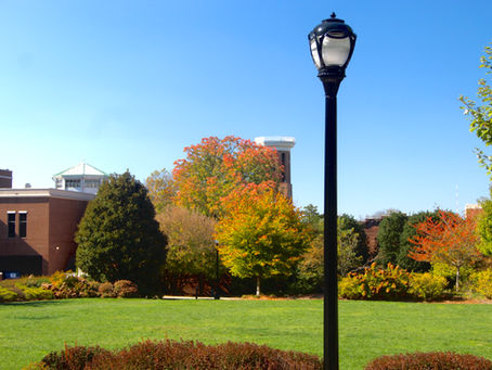 Roses, Thorns and the Gazebos In-between – A Look at Belmont’s Landscaping Crew