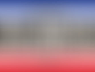 Meet the Senators - Freshman Class