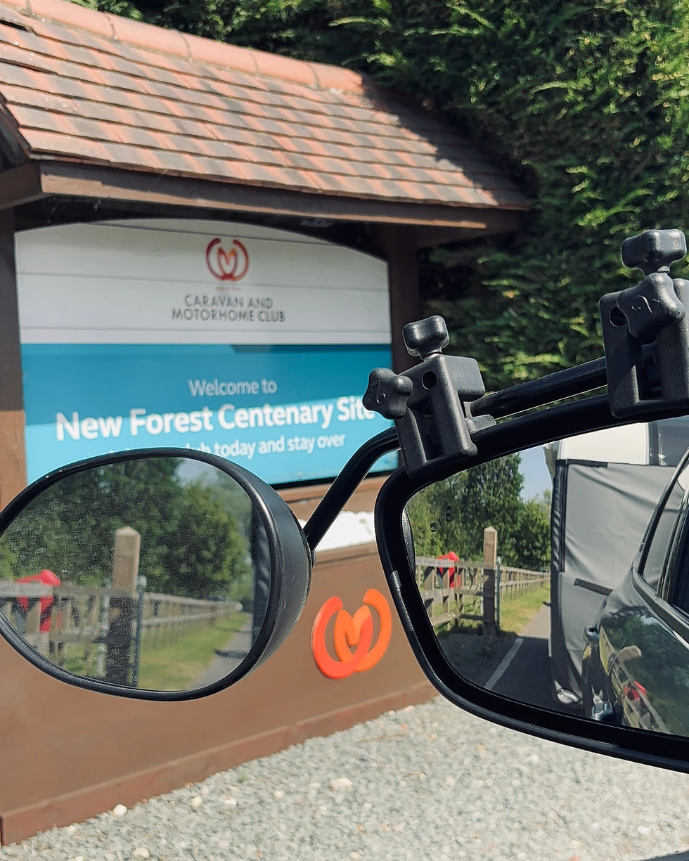 New Forest Centenary Club Campsite Review: Why We've Returned Five Times