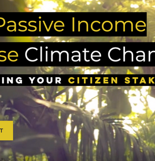 THE CITIZEN STAKE STOCK - STEERING DOCUMENTS 