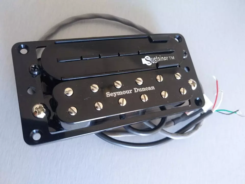 Fernandes Sustainer Little 