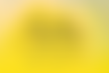 🌼 El significado de las flores amarillas: amistad, felicidad y positividad