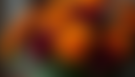 Embracing the Magic of Spooky Florentina: A Journey from Celebration to Reflection